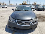 Lexus IS 2010