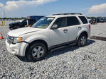 Ford Escape 2010