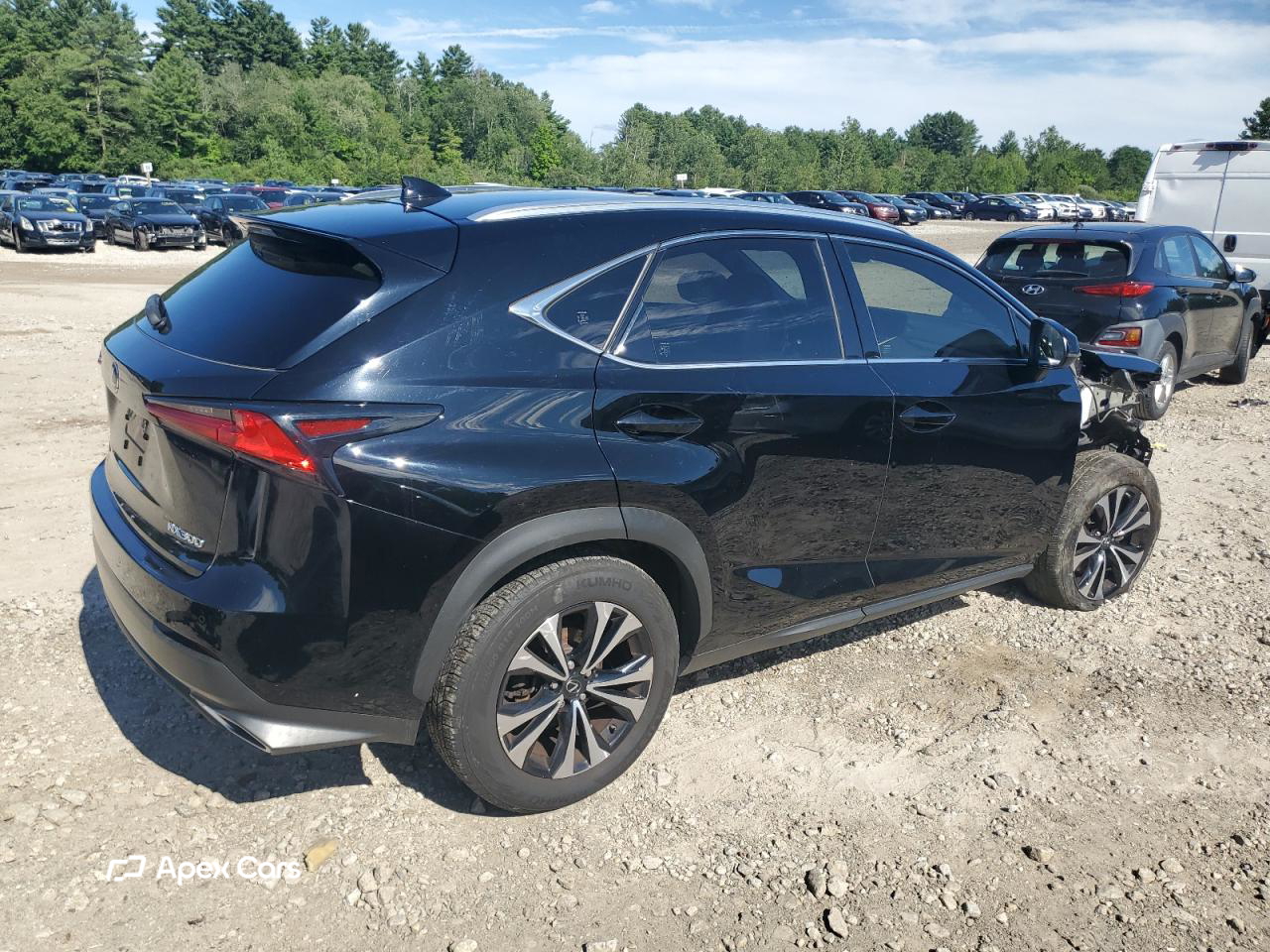 Lexus NX 2020