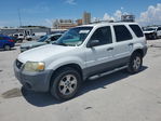 Ford Escape 2007
