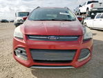 Ford Escape 2014
