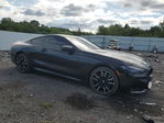 BMW M8 2024