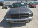Dodge Dakota 2002