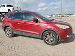 Ford Escape 2014