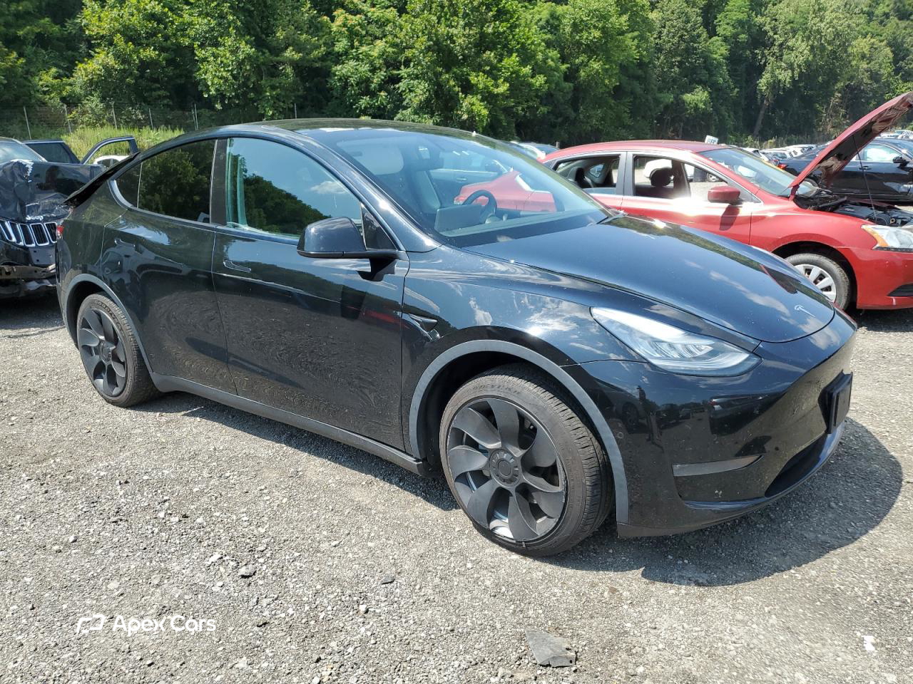 Tesla Model Y 2020