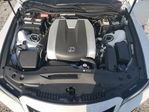 Lexus IS 2025