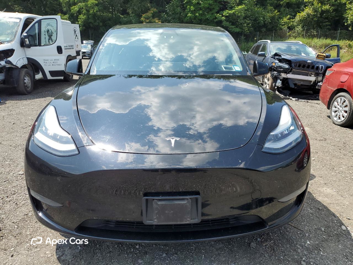 Tesla Model Y 2020