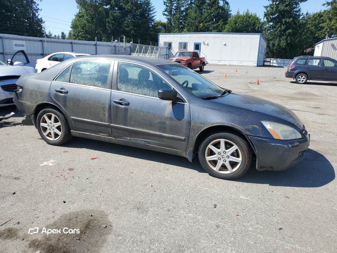 Honda Accord 2003