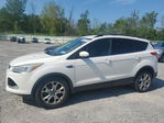 Ford Escape 2013