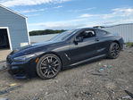 BMW M8 2024