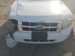 Ford Escape 2009