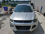Ford Escape 2013