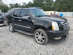 Cadillac Escalade 2012
