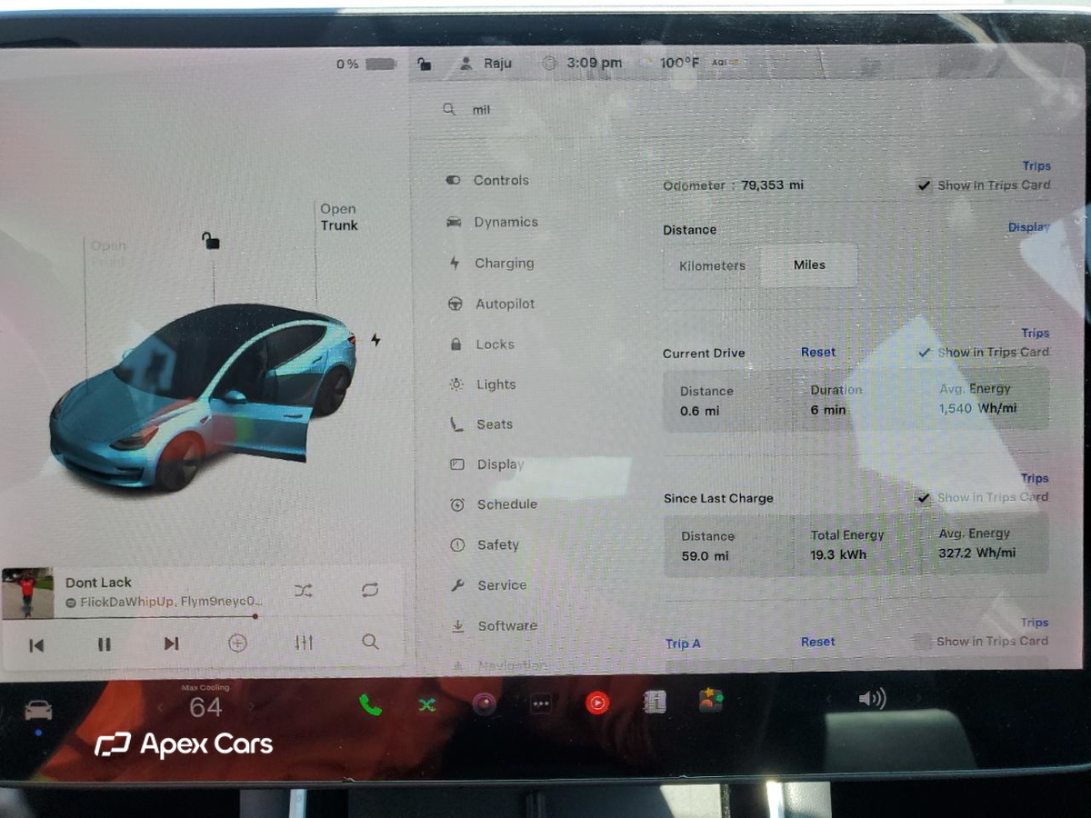 Tesla Model 3 2019