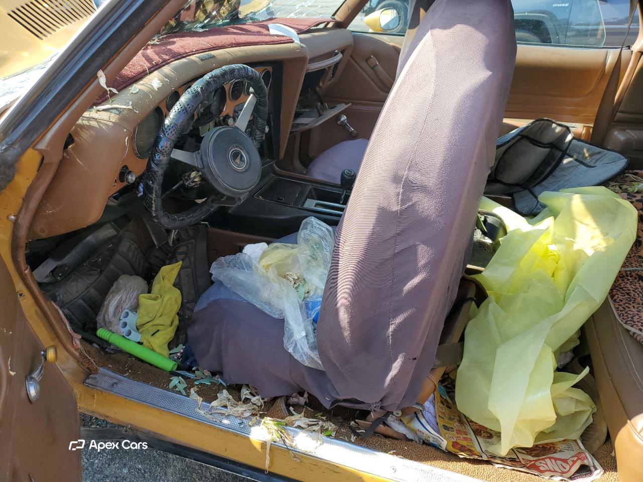 Pontiac Grand AM 1973