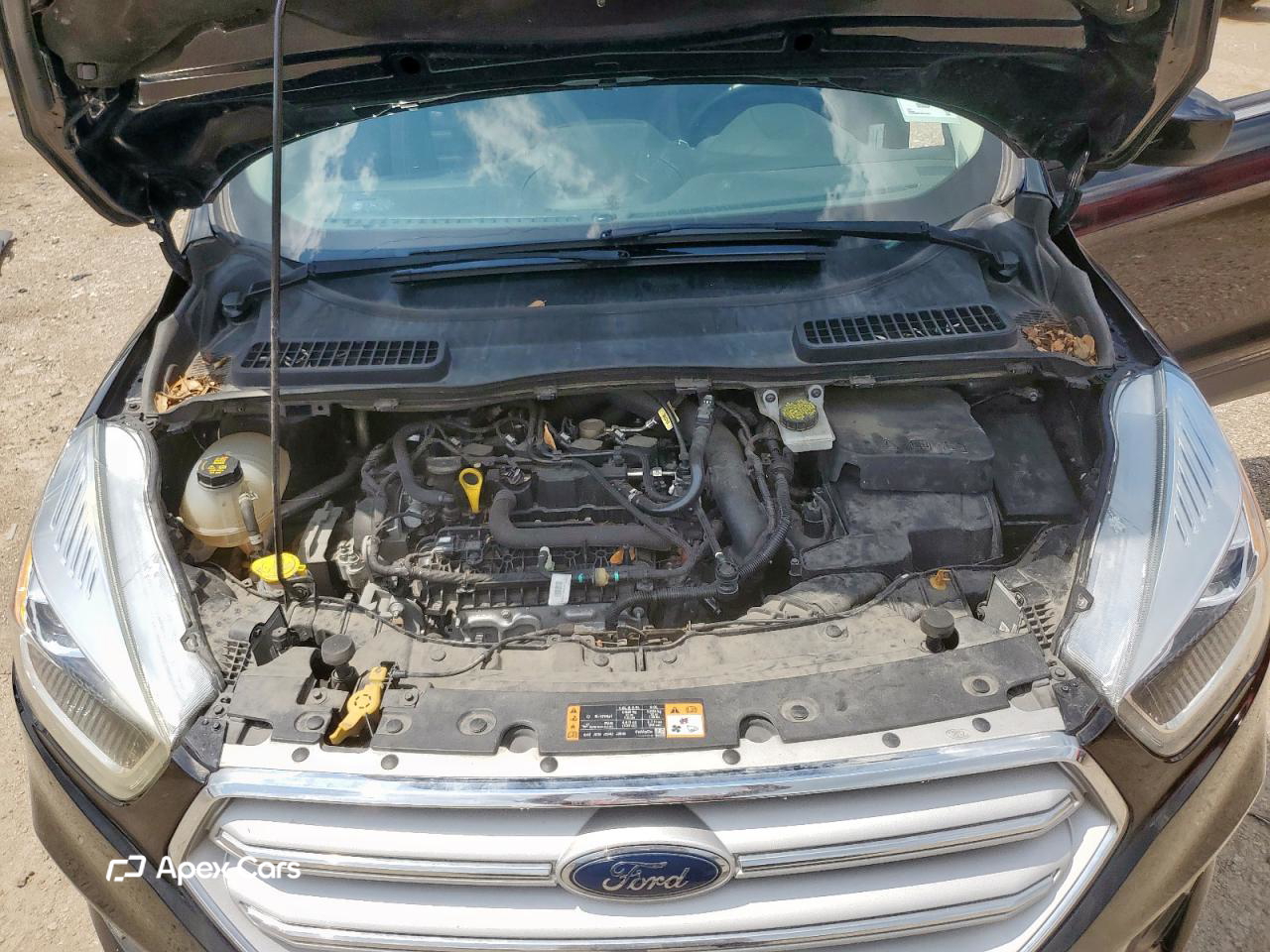 Ford Escape 2019