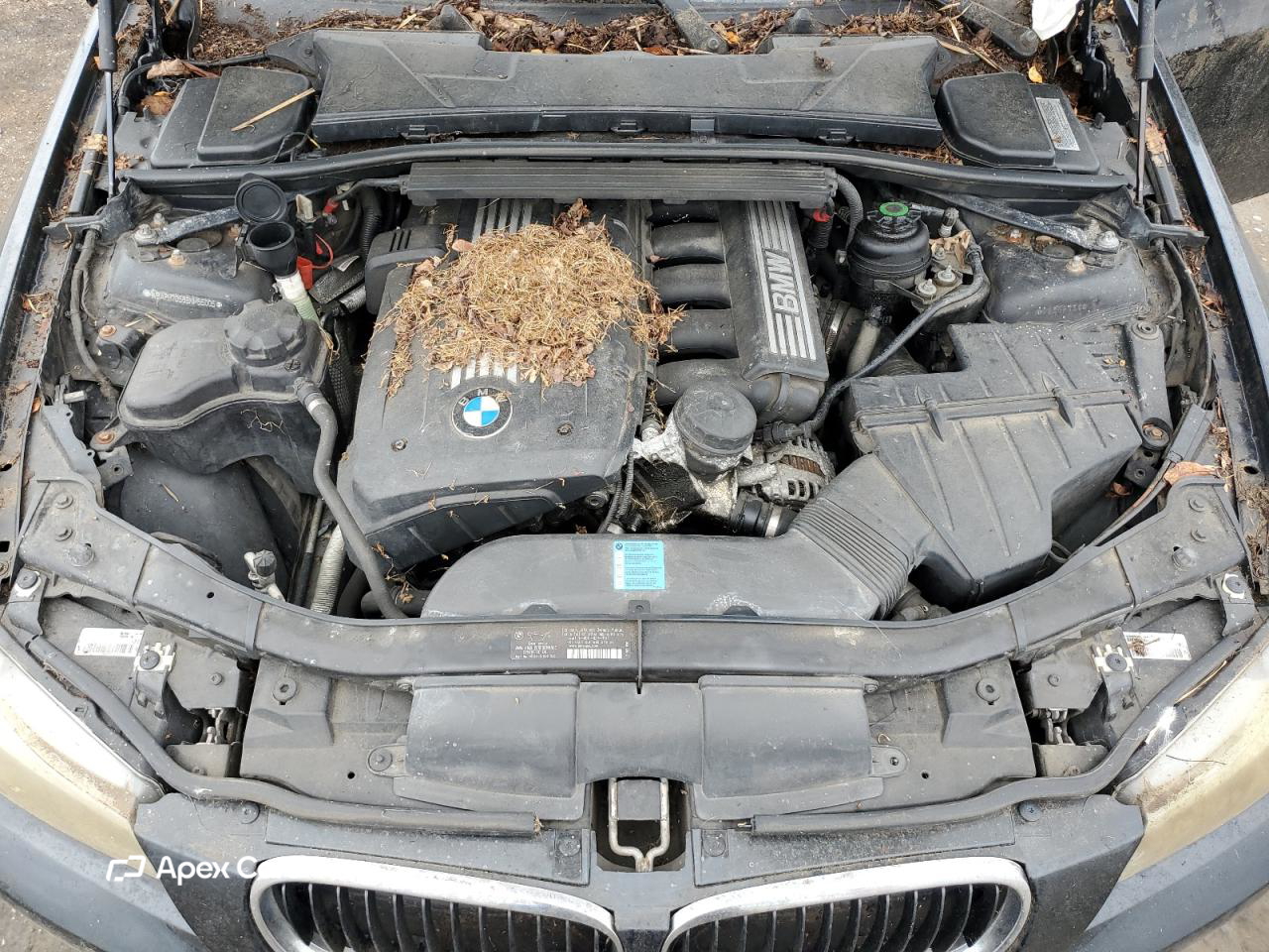 BMW Series 3 2011