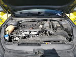 Kia K5 2024