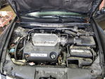 Honda Accord 2010