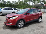 Ford Escape 2013