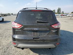 Ford Escape 2013