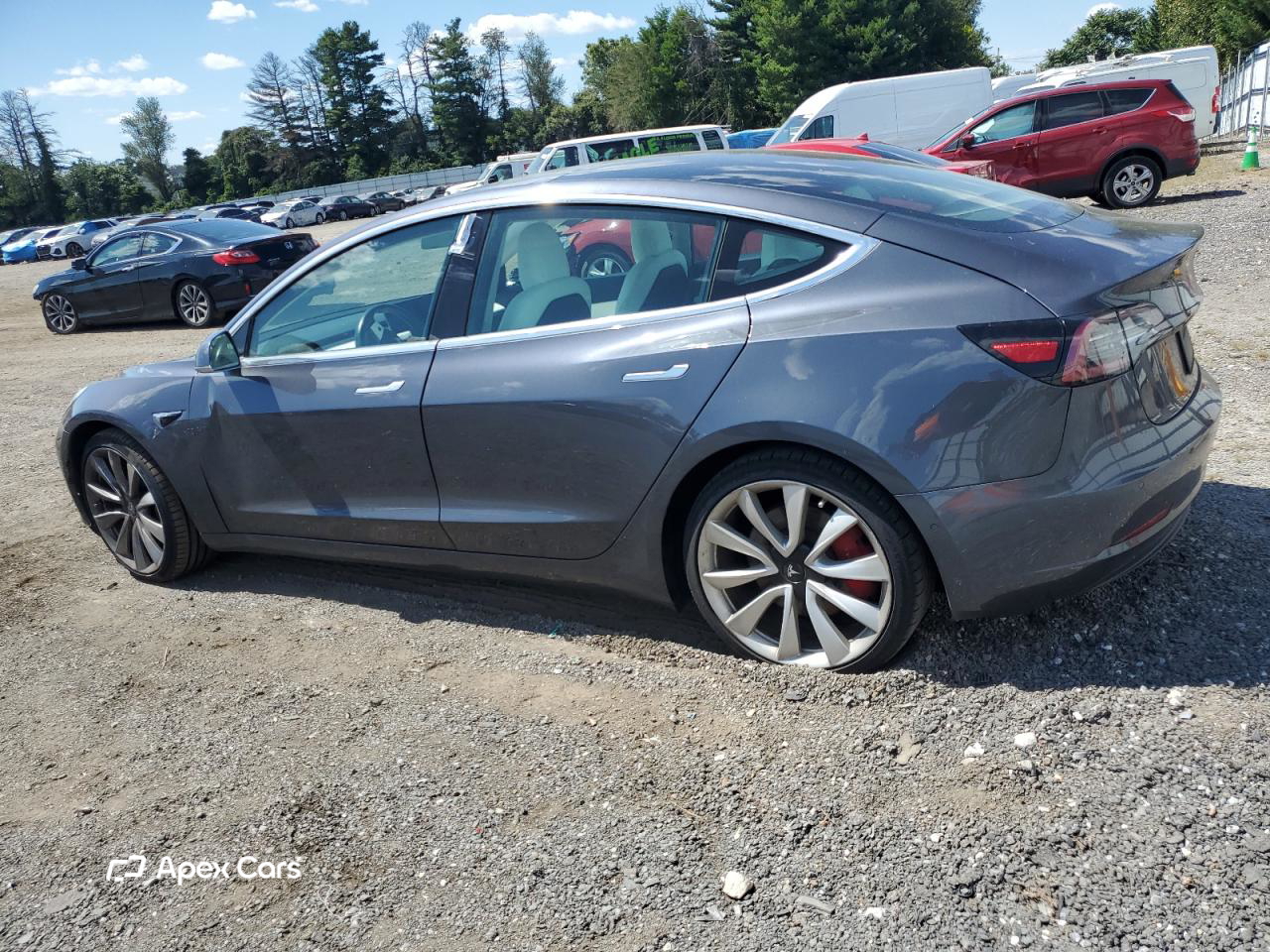 Tesla Model 3 2019