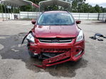 Ford Escape 2013