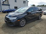 Honda Odyssey 2022