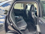 Ford Escape 2020