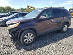 Kia Sorento 2012