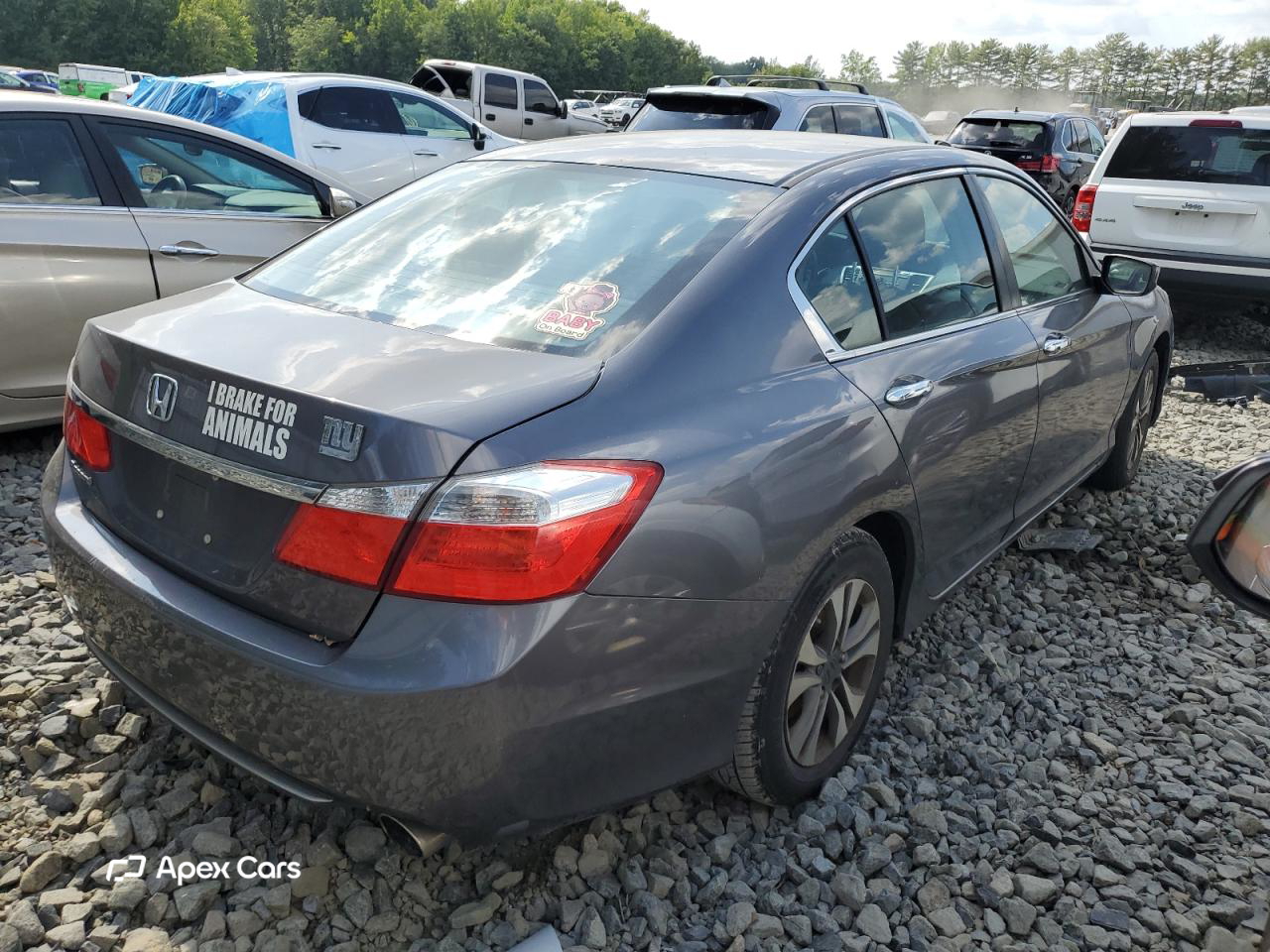 Honda Accord 2013