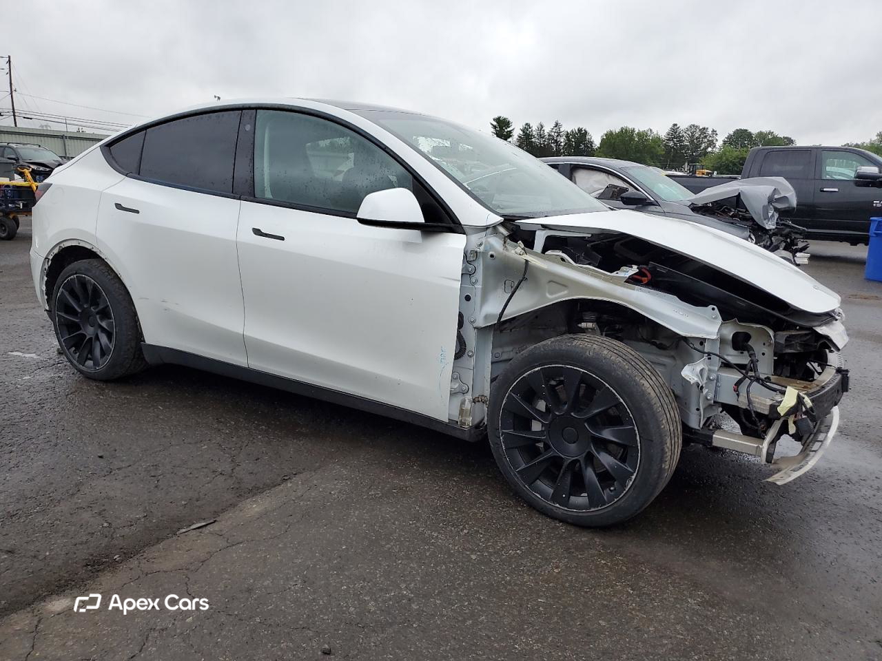 Tesla Model Y 2021