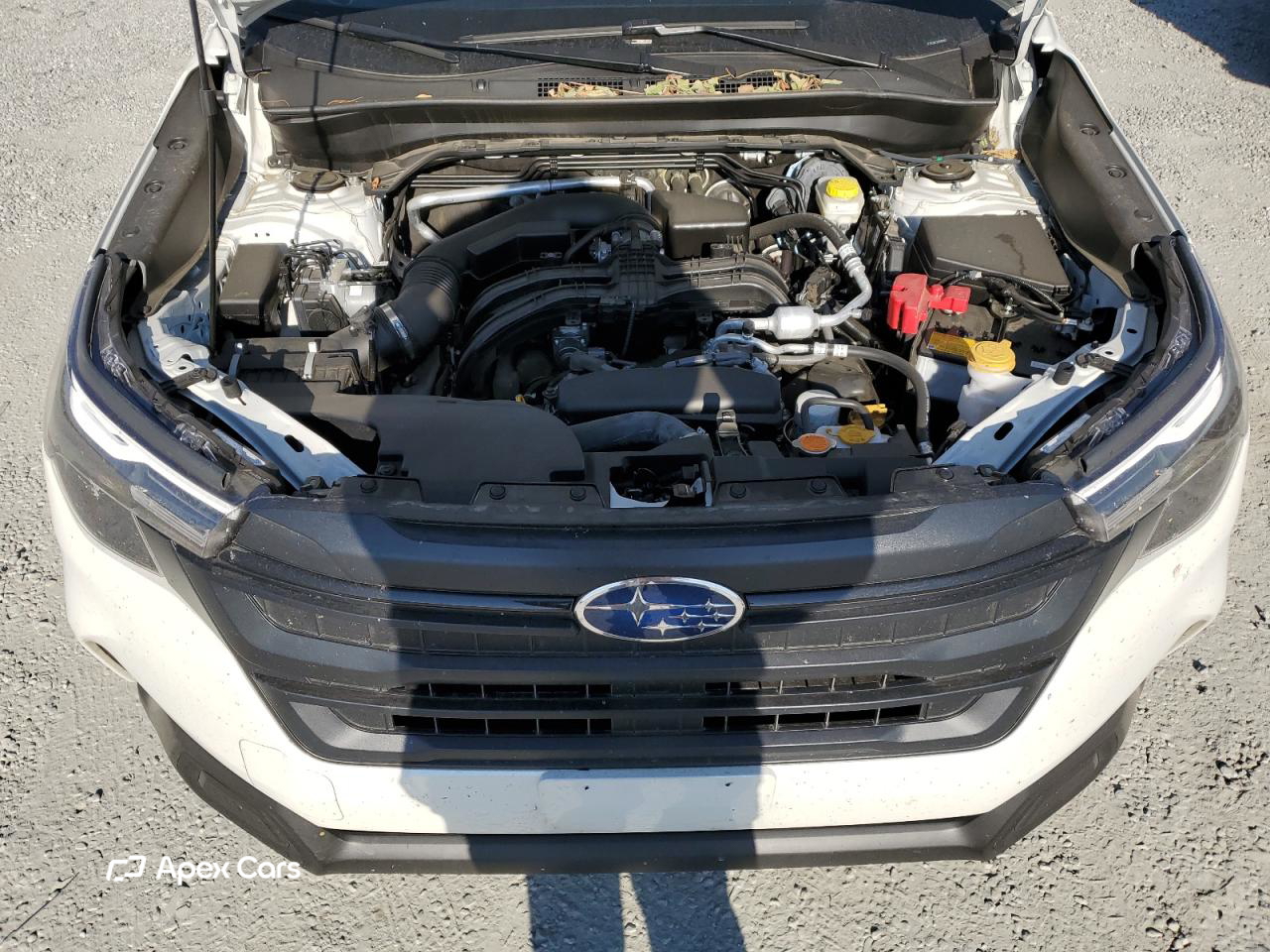 Subaru Forester 2025