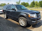 Ford Expedition 2015