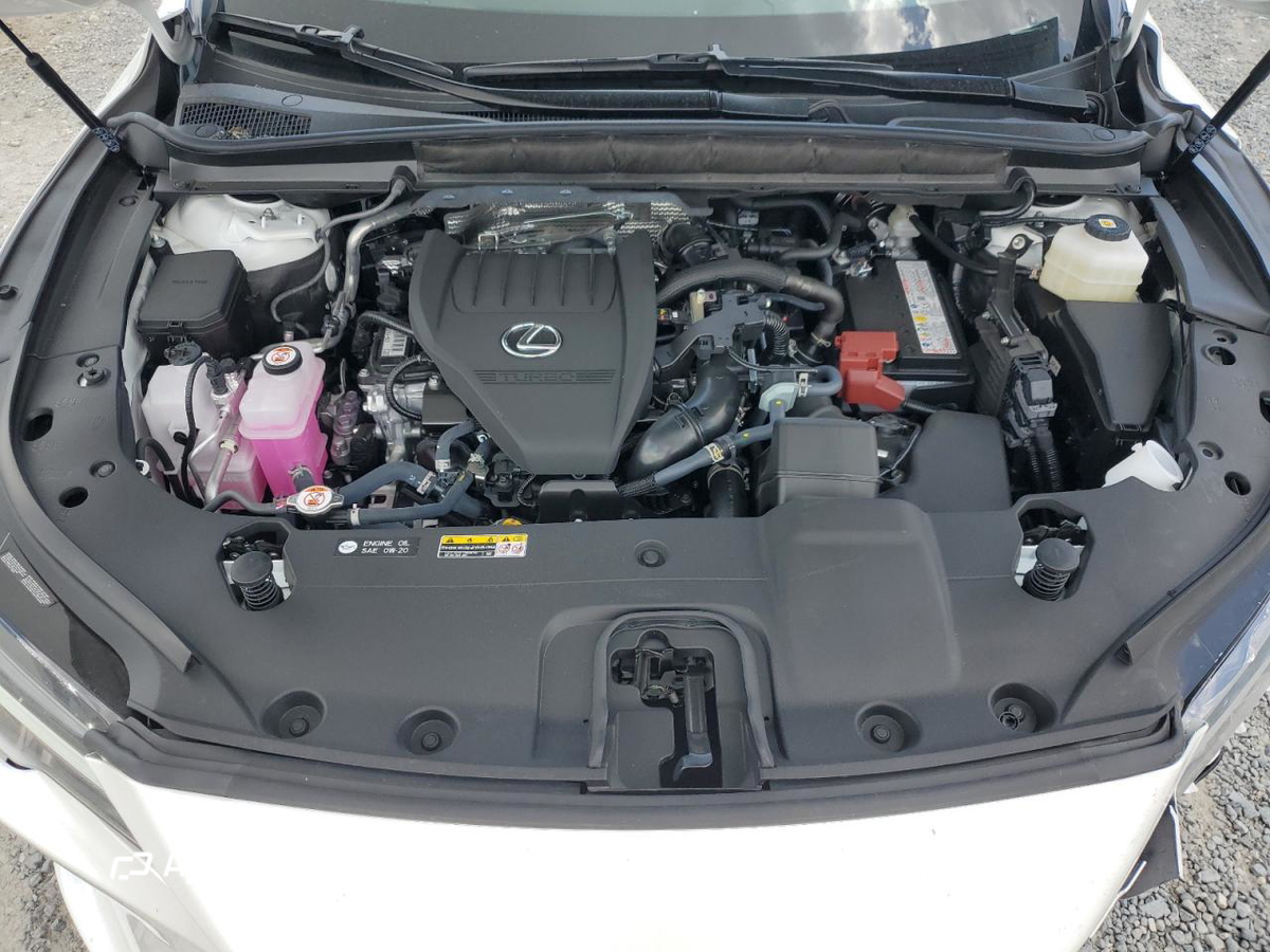Lexus RX 2025