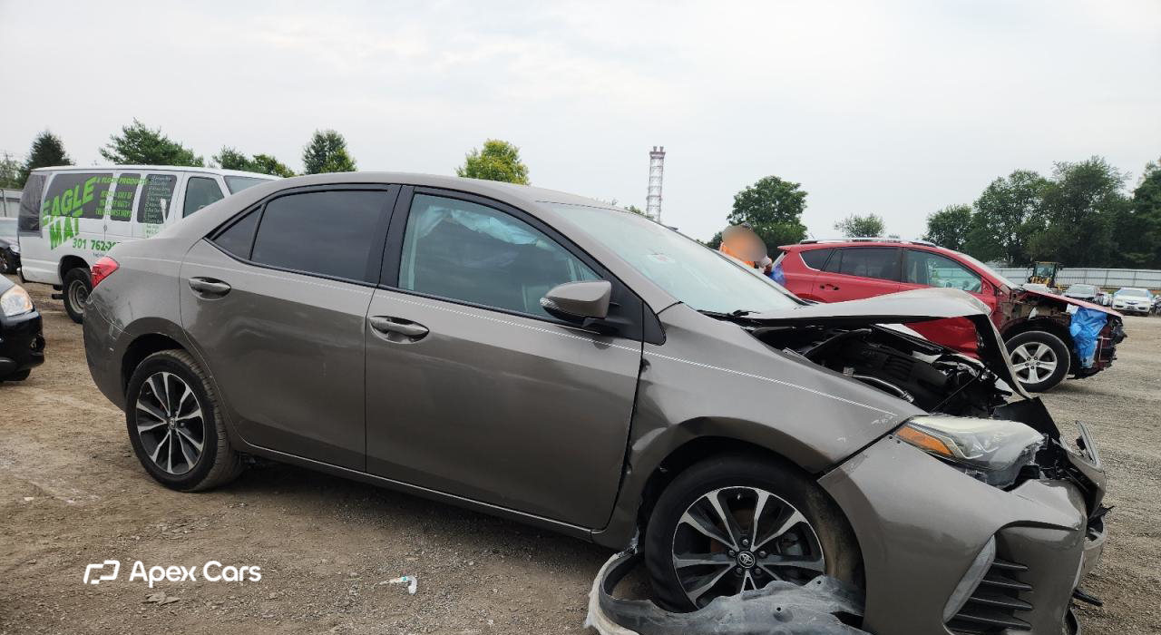 Toyota Corolla 2019