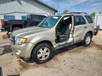 Ford Escape 2011