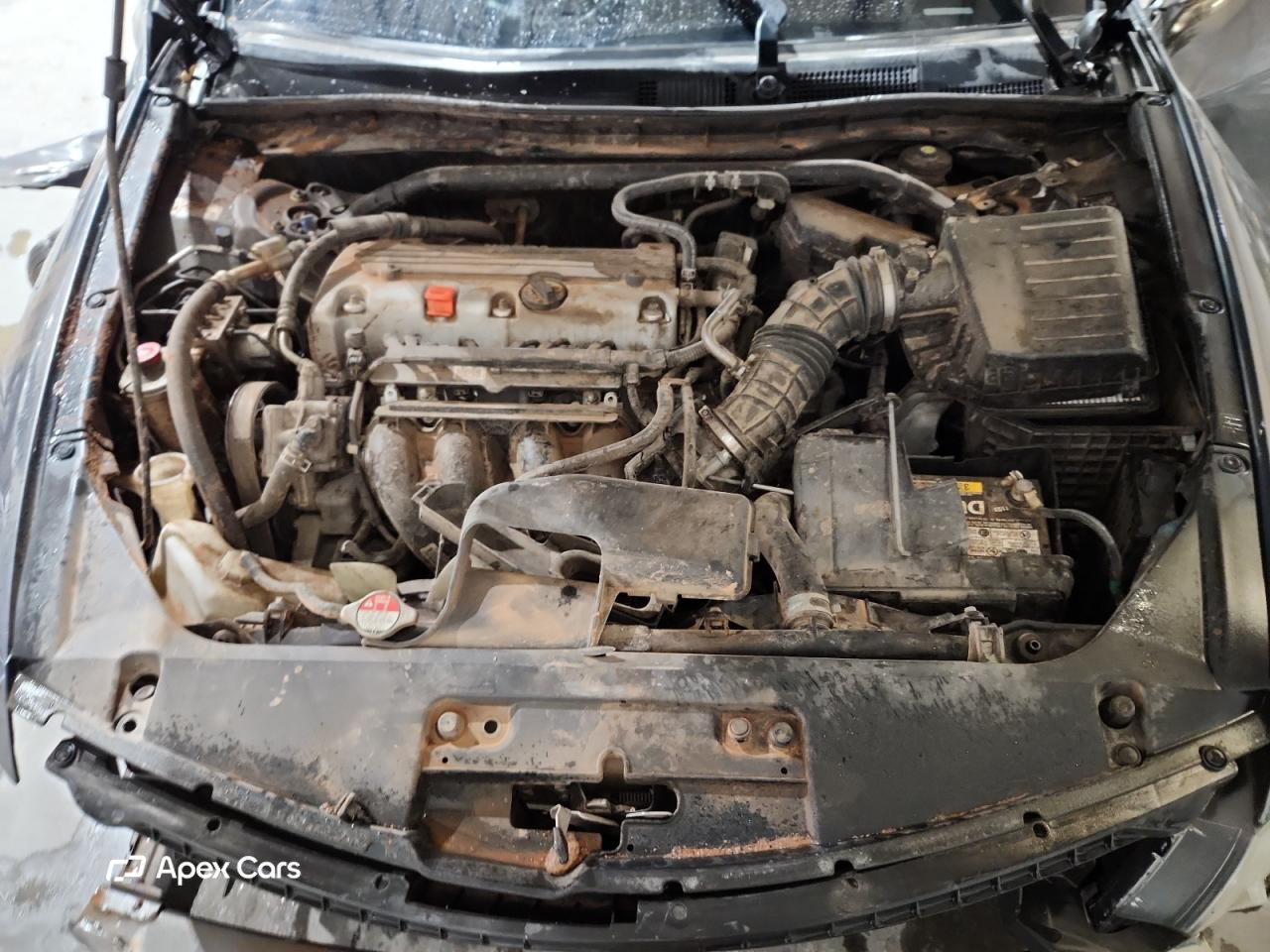 Honda Accord 2011