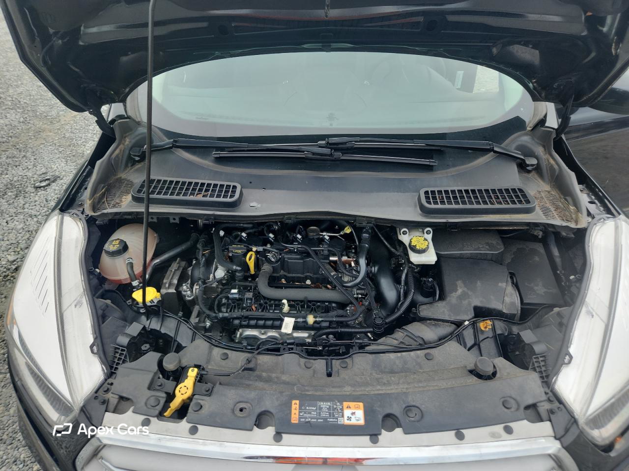 Ford Escape 2019