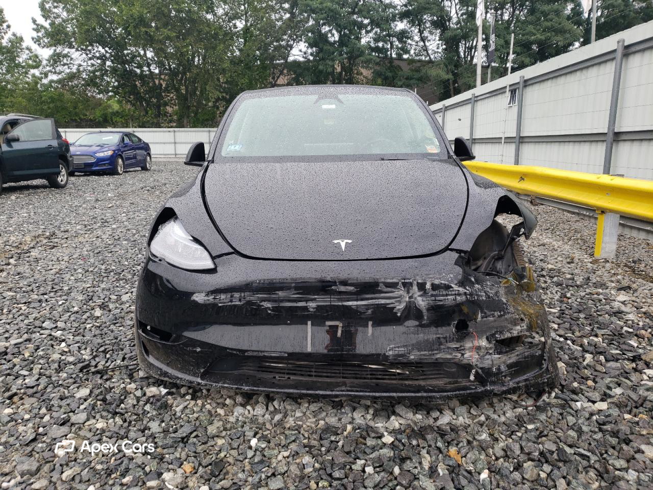Tesla Model Y 2025