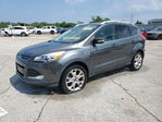 Ford Escape 2016
