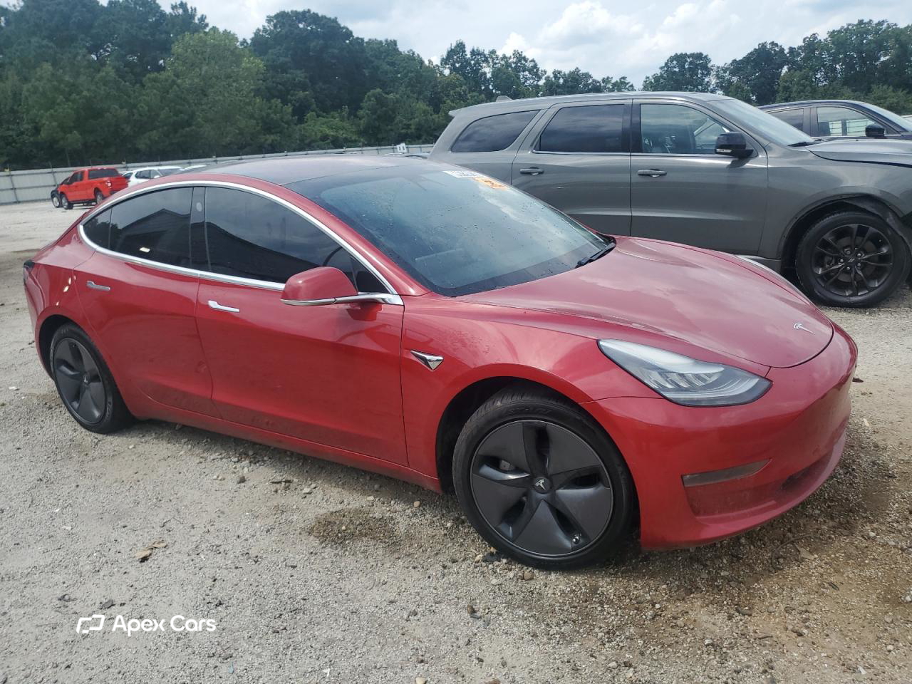 Tesla Model 3 2019