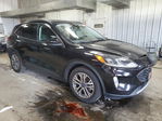 Ford Escape 2021