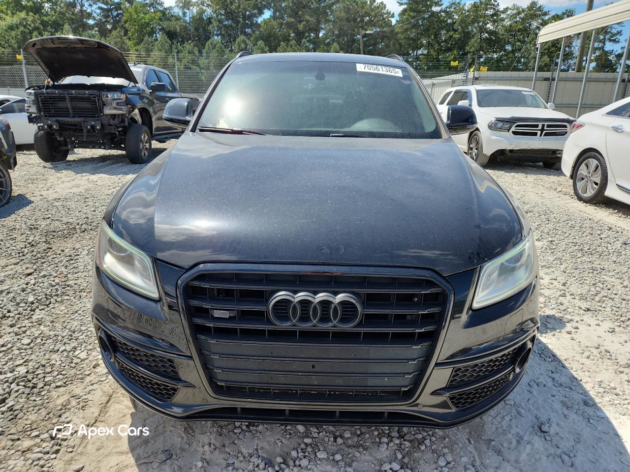 Audi SQ5 2016