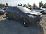 Ford Escape 2013