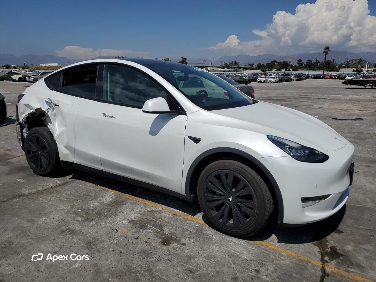 Tesla Model Y 2021