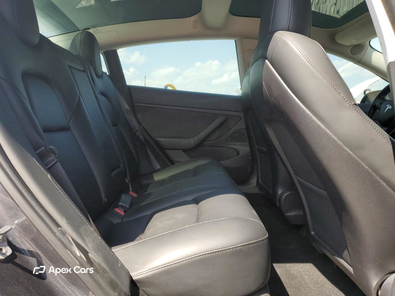 Tesla Model 3 2019