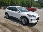 Ford Escape 2020