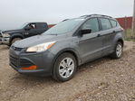 Ford Escape 2013
