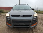Ford Escape 2013